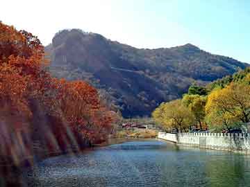 天天彩好彩天天免费，马家湾加油站闹鬼事件